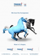 Tridex Service 