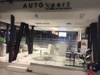 AUTO XPERT